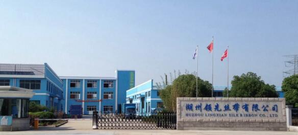 湖州領(lǐng)先絲帶有限公司選用湖州出安智能電動伸縮門彰顯個性