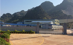 玉林五彩田園電動伸縮門案例