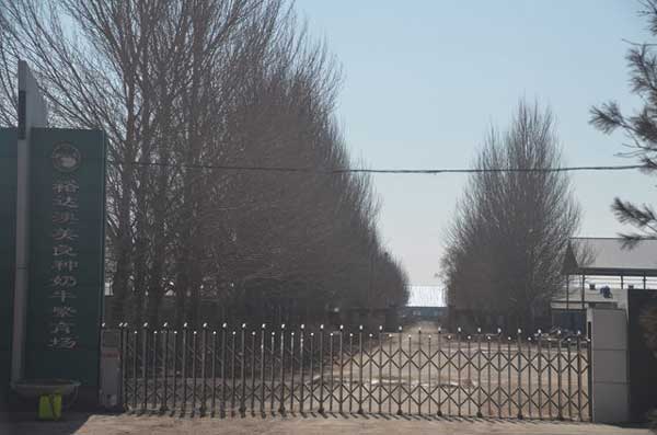 喜迎綏化出安智能電動伸縮門進駐綏化裕達澳美良種奶牛繁育場