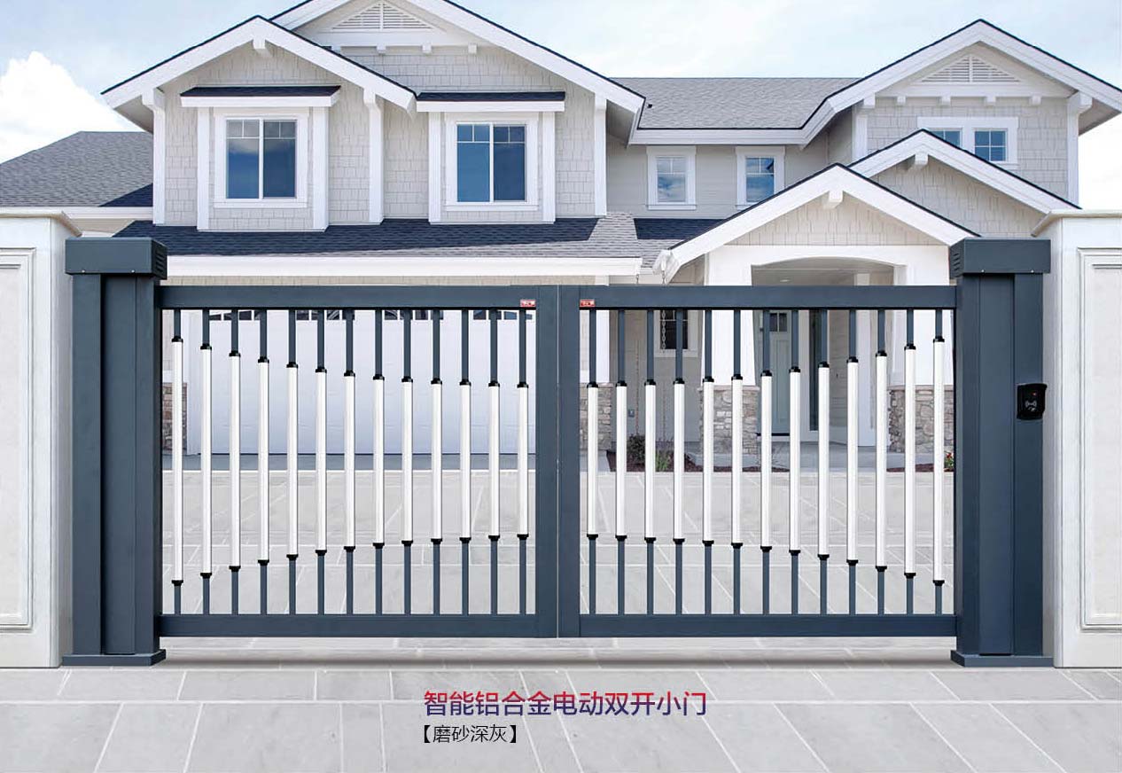 智能鋁合金電動雙開小門 SK-02GY
