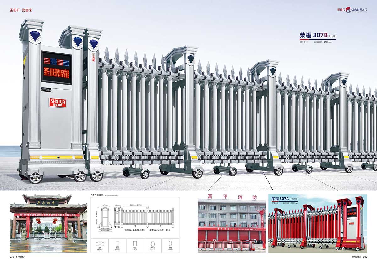 其他 - 榮耀 307B   榮耀 307A