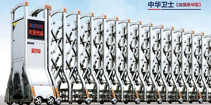 其他 - 中華衛(wèi)士（加強豪華型）