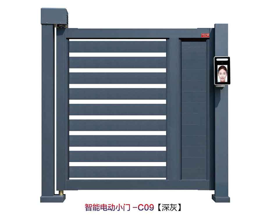 智能電動(dòng)小門C09