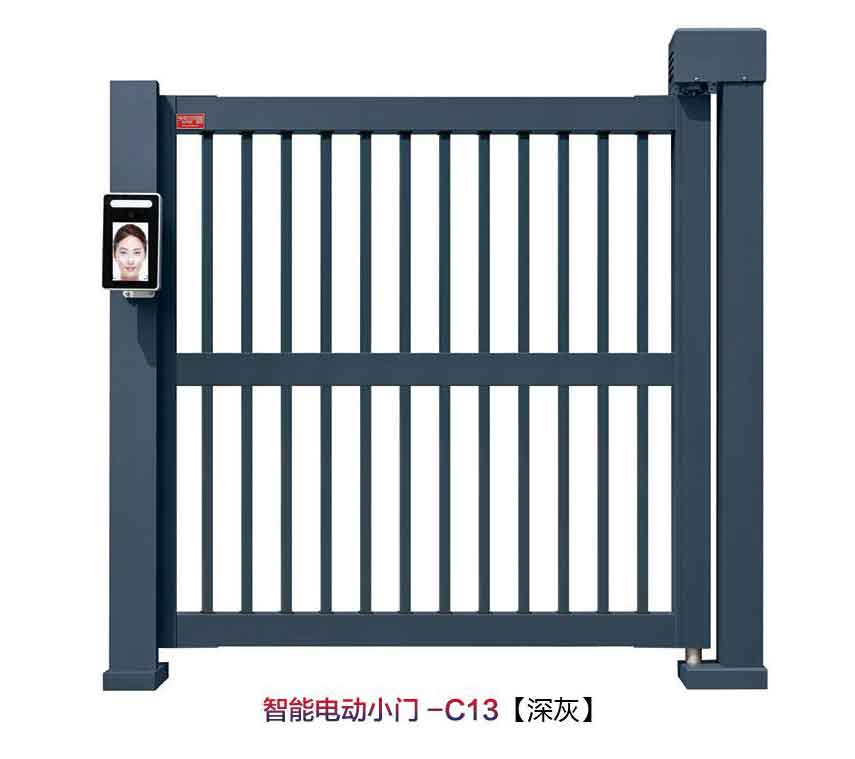 智能電動小門C13