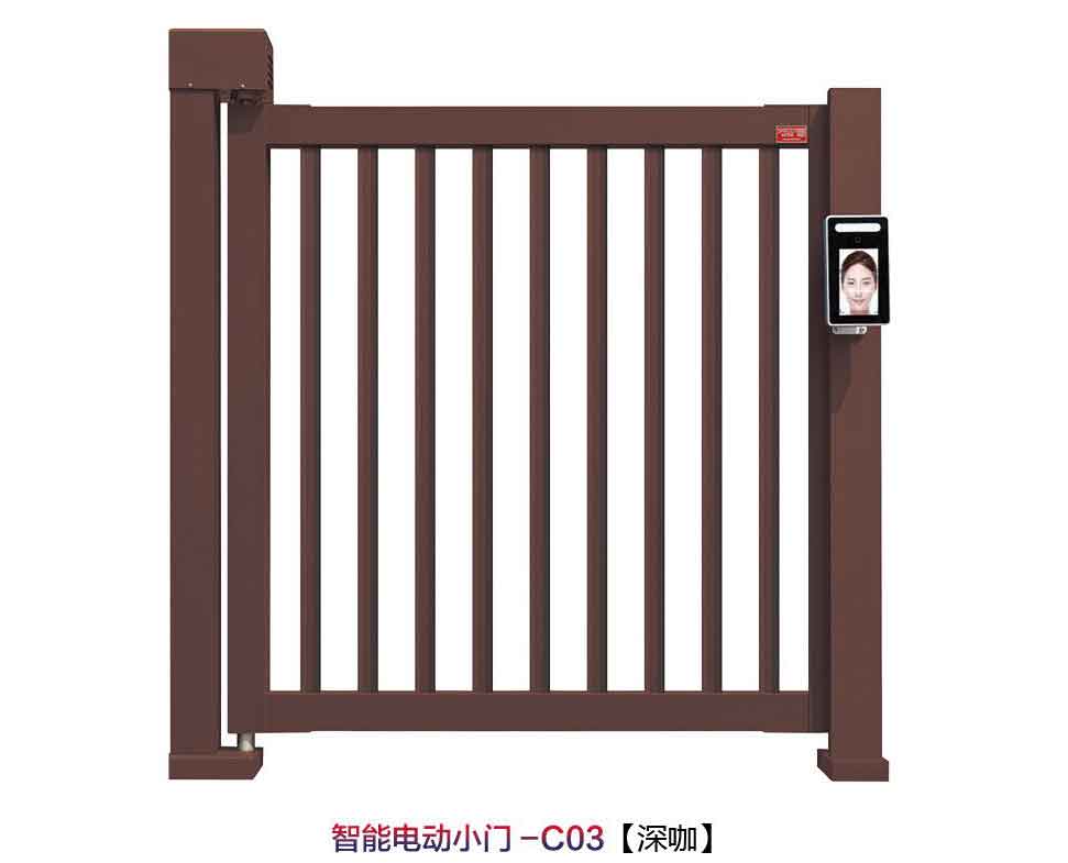 智能電動(dòng)小門C03