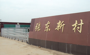 衡水市景縣龍華鎮(zhèn)張東新村新居民小區(qū)電動伸縮門案例