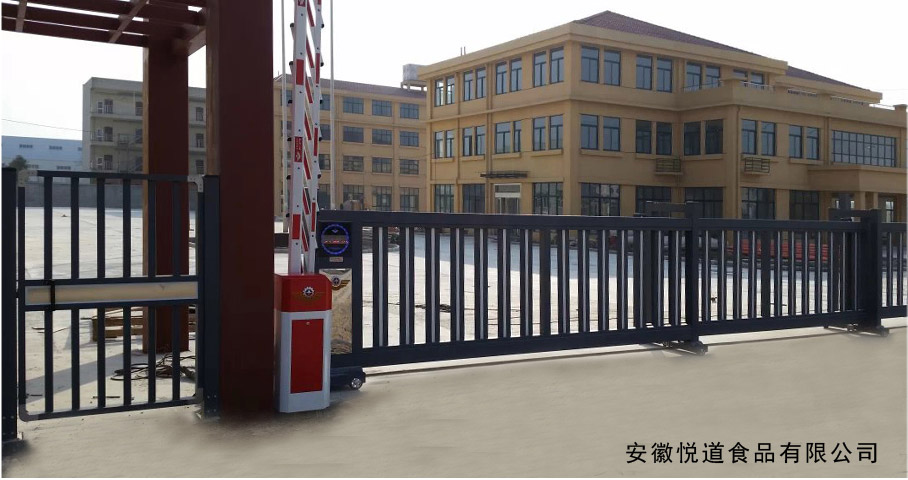 六安出安智能懸浮平移門(mén)進(jìn)駐安徽悅道食品有限公司