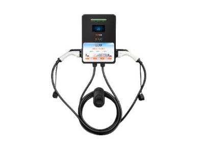 交流雙槍壁掛充電樁(CTP-CDZ01)