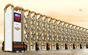 諾系860A（香檳）