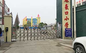 湖北麻豪口小學(xué)藍(lán)牙自動出入伸縮門案例