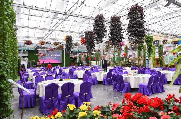 攜手筑夢，與艾同行 —— 2018艾科智泊年度表彰大會暨迎春晚會！