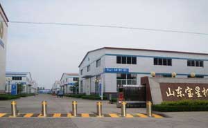 山東寶星機械有限公司升降柱案例