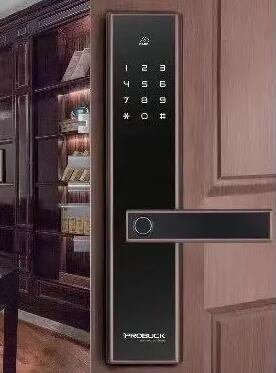 PROBUCK I6 琥珀棕