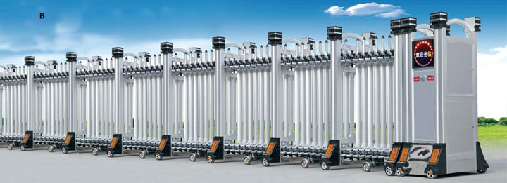 B巨無霸系列電動伸縮門