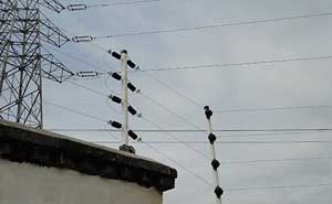 廈門金磚會議電子圍欄案例 - 中出網(wǎng)-智能出入口與停車充電門戶