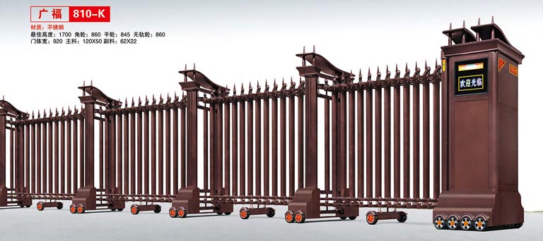 其他 - 廣福810-K