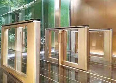 其他 - 土豪金速通門擺閘