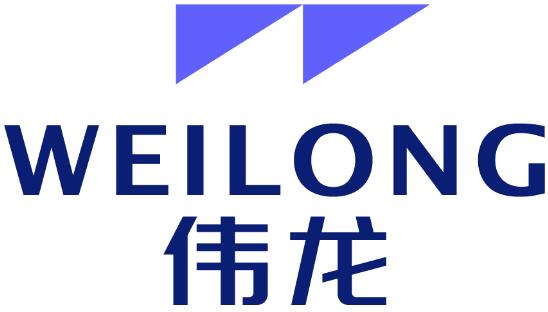 偉龍科技LOGO發(fā)布